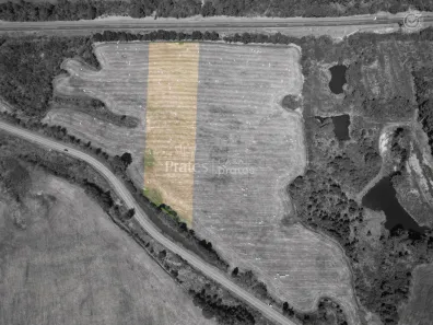 Lote/Terreno à venda, 20000m² no Centro, Palmeira