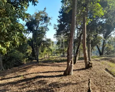 Lote/Terreno à venda, 5850m² no Recreio, Ibiúna