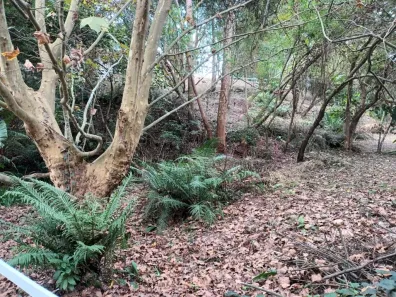 Lote/Terreno à venda, 1208m² no Palos Verdes, Carapicuíba
