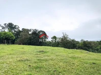 Fazenda/Sítio com 2 Quartos à venda, 52000m² no Área Rural de Taquara, Taquara
