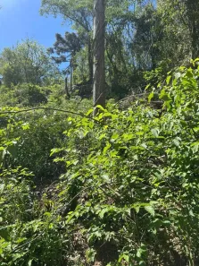 Lote/Terreno à venda, 436m² no , Nova Petrópolis