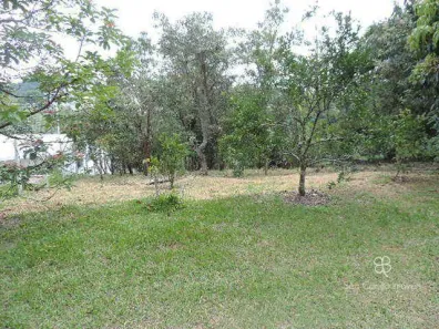 Lote/Terreno à venda, 4443m² no Paisagem Renoir, Cotia