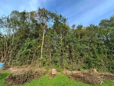 Lote/Terreno à venda, 390m² no São Lucas, Viamão