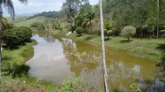 Fazenda/Sítio com 5 Quartos à venda, 484000m² no Papucaia, Cachoeiras de Macacu