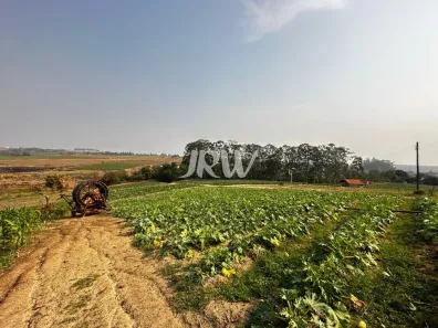 Fazenda/Sítio com 2 Quartos à venda, 200000m² no , Elias Fausto