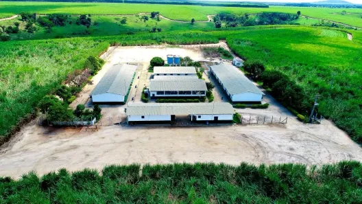 Fazenda/Sítio à venda, 1m² no , Ribeira do Pombal