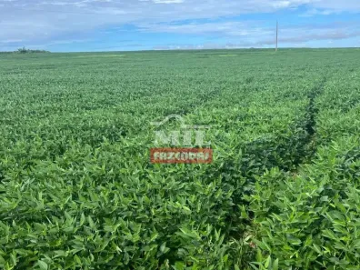 Fazenda/Sítio à venda, 500m² no , Paraíso do Tocantins