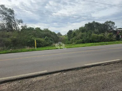 Lote/Terreno à venda, 134700m² no Nova Sardenha, Farroupilha