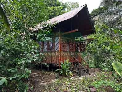 Imóvel Comercial com 4 Quartos à venda, 7200m² no Tarumã, Manaus