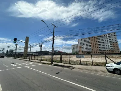 Lote/Terreno para alugar, 8000m² no Chácara Parreiral, Serra