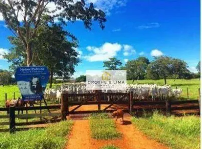 Fazenda/Sítio à venda, 900m² no , Cocalinho