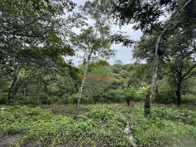 Lote/Terreno à venda, 7675m² no , Guaramiranga