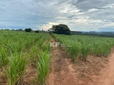 Fazenda/Sítio com 1 Quarto à venda, 5130400m² no , Ribeirão Bonito