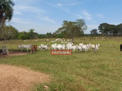 Fazenda/Sítio à venda, 500m² no Área Rural de Barra do Garças, Barra do Garças
