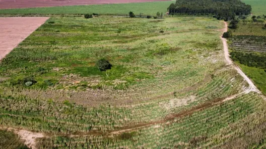Fazenda/Sítio à venda, 445280m² no Área Rural de Santa Maria da Serra, Santa Maria da Serra