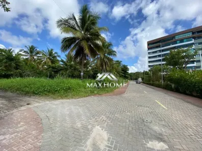 Lote/Terreno à venda, 2900m² no Paiva, Cabo de Santo Agostinho