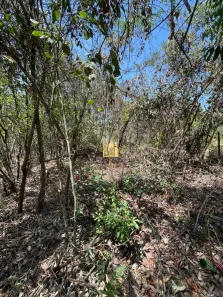 Lote/Terreno à venda, 1200m² no , Esmeraldas