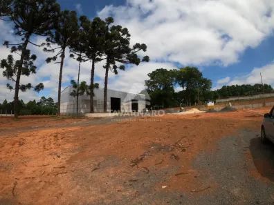 Galpão/Depósito/Armazém para alugar, 640m² no Colônia Dona Luíza, Ponta Grossa