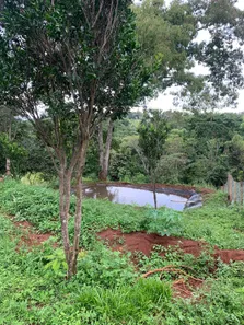 Fazenda/Sítio à venda, 2000m² no , Goianápolis