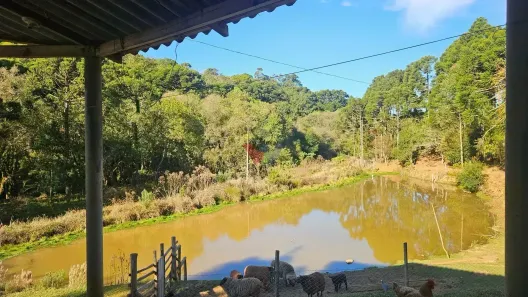 Fazenda/Sítio com 4 Quartos à venda, 130m² no , Contenda