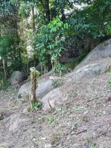Lote/Terreno à venda, 4582m² no Jacarepaguá, Rio de Janeiro