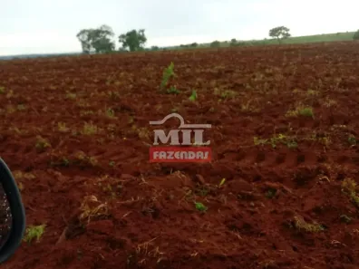 Fazenda/Sítio à venda, 3560m² no Jardim Maria Lúcia, Barra do Garças