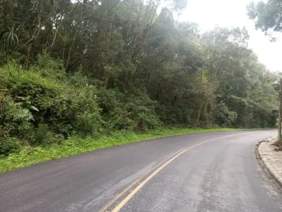 Lote/Terreno à venda, 66584m² no Vila Gilcy, Campo Largo