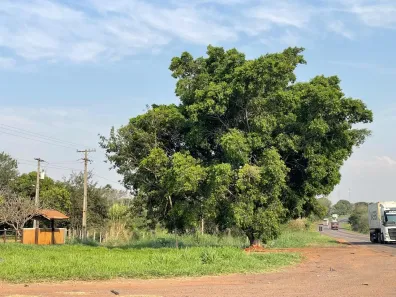 Fazenda/Sítio com 2 Quartos à venda, 200m² no Anhandui, Campo Grande