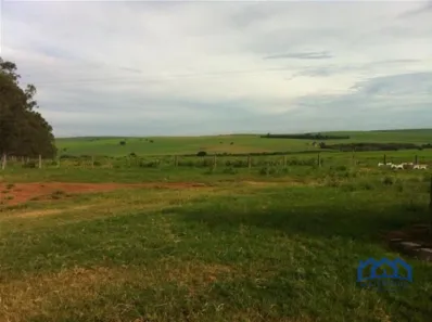 Fazenda/Sítio com 1 Quarto à venda, 30044542m² no Floresta do Sul, Presidente Prudente