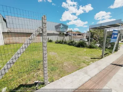 Lote/Terreno para alugar, 250m² no Centro, Balneário Camboriú