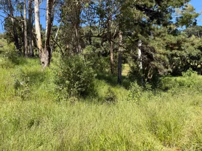 Fazenda/Sítio com 1 Quarto à venda, 16600m² no Loteamento Chácaras Primavera, São Roque