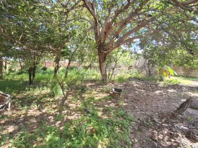 Lote/Terreno à venda, 4500m² no Ponta Negra, Natal