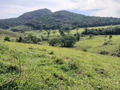 Fazenda/Sítio à venda, 10m² no , Ouro Fino