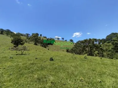Lote/Terreno à venda, 30000m² no , Delfim Moreira