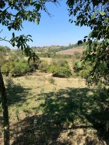 Fazenda/Sítio à venda, 100000m² no Elias Fausto, Elias Fausto