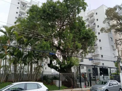 Apartamento com 2 Quartos à venda, 54m² no Vila Robertina, São Paulo