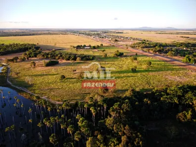 Fazenda/Sítio à venda, 1m² no Centro, Porangatu