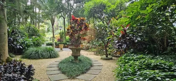 Fazenda/Sítio com 4 Quartos à venda, 9620m² no Guarda do Cubatão, Palhoça