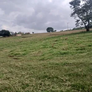 Fazenda/Sítio com 2 Quartos à venda, 72600m² no , Santo Antônio da Alegria