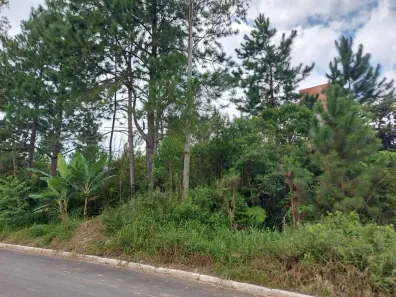 Lote/Terreno à venda, 1000m² no Chácara Bosque do Sol, São Paulo
