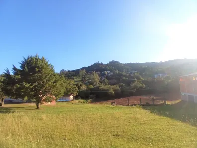 Lote/Terreno para alugar, 3000m² no Linha 40, Caxias do Sul