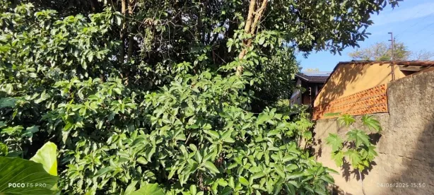 Lote/Terreno à venda, 300m² no Vila Nova, Porto Alegre