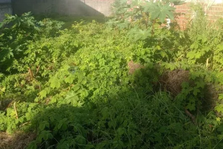 Lote/Terreno à venda, 360m² no Bessa, João Pessoa