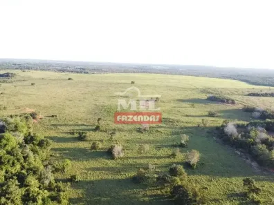 Fazenda/Sítio à venda, 500m² no Setor Central, Araguaína