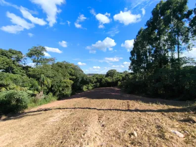 Fazenda/Sítio à venda, 23373m² no , Balsa Nova