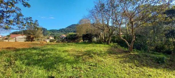 Fazenda/Sítio à venda, 3649m² no Planalto, Morro Reuter