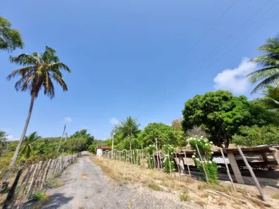 Fazenda/Sítio à venda, 1734m² no , Marechal Deodoro