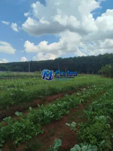 Fazenda/Sítio à venda, 22800m² no , Bady Bassitt