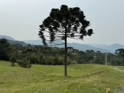 Fazenda/Sítio à venda, 20000m² no Urubici, Urubici