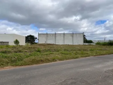 Lote/Terreno para alugar, 1150m² no Mauá, Colombo